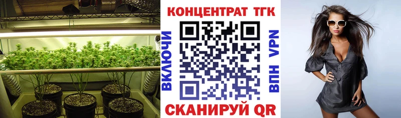 ТГК Wax  купить закладку  Фрязино 