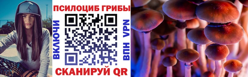 Галлюциногенные грибы ЛСД  нарко площадка состав  Фрязино 