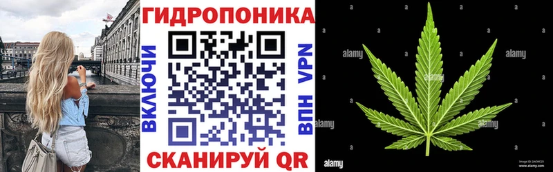 где купить наркотик  Фрязино  МАРИХУАНА конопля 